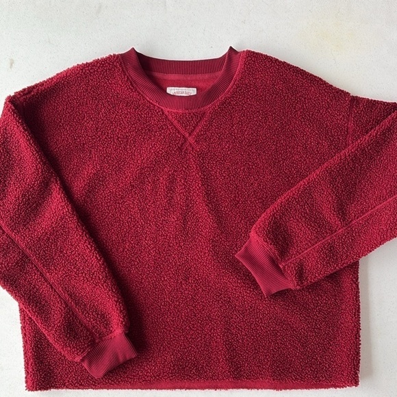 American Eagle Cropped Sherpa Sweatshirt SMALL NEW! - Picture 1 of 5